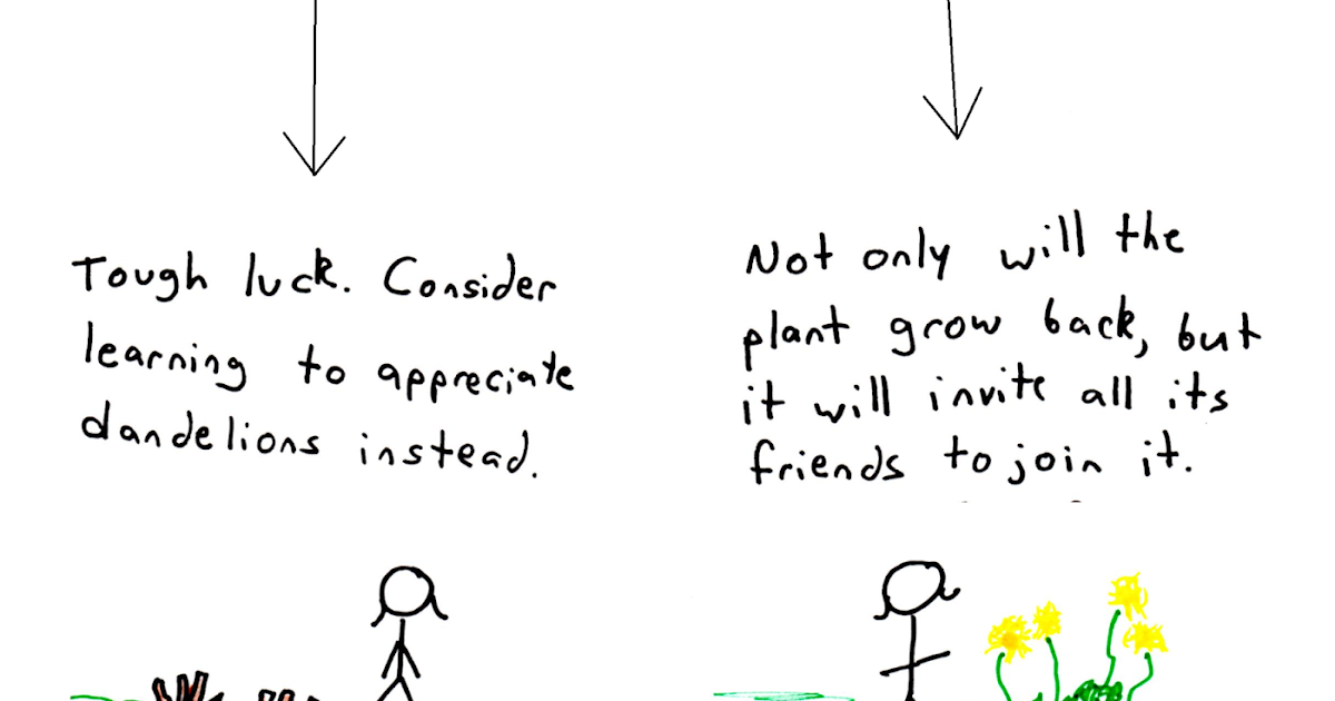 What Mighty Contests Will My Plant Grow Back? A Flowchart
