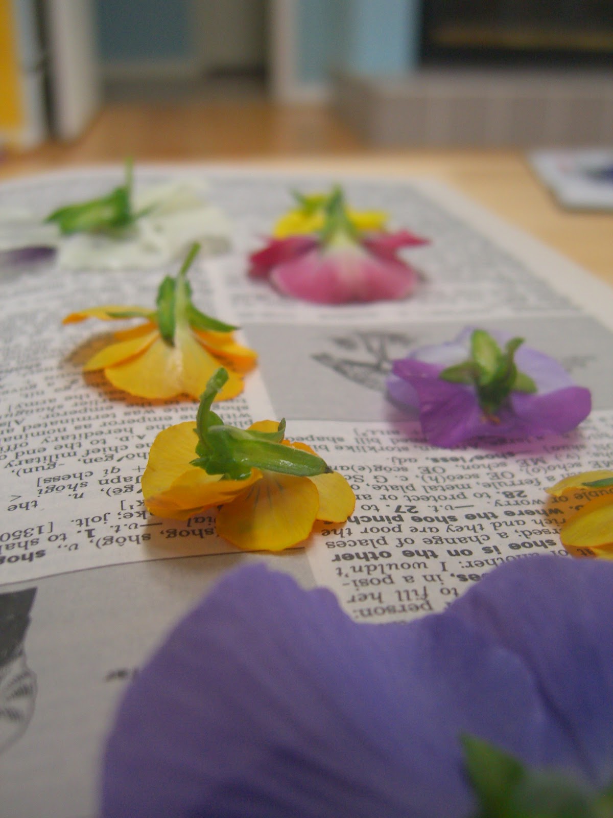 pegeen Pressed Flower Picture Mats