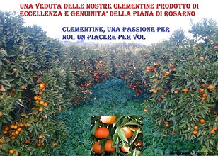 Campagna promozionale 2013-14