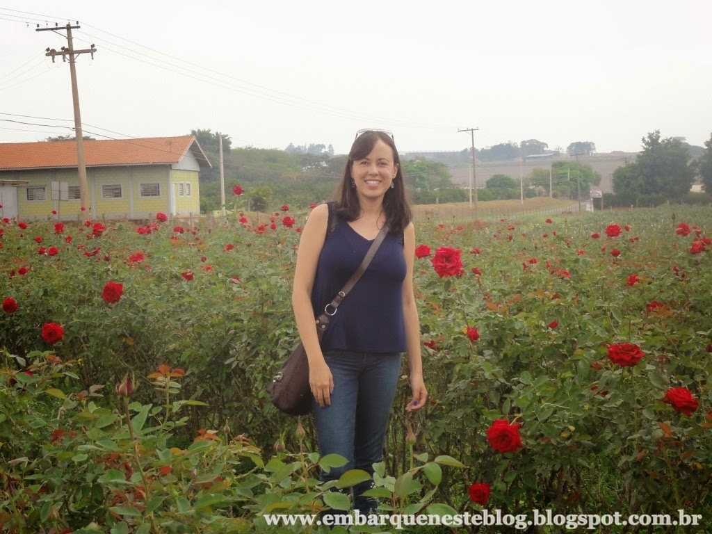 Campo de rosas em Holambra