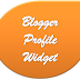 Set Profile Widget for Blogger Below the Post
