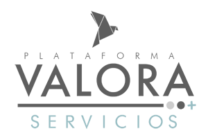Plataforma Valora Servicios