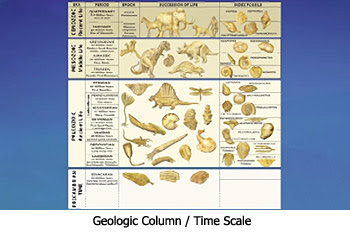 Geologic Column Geologic Column