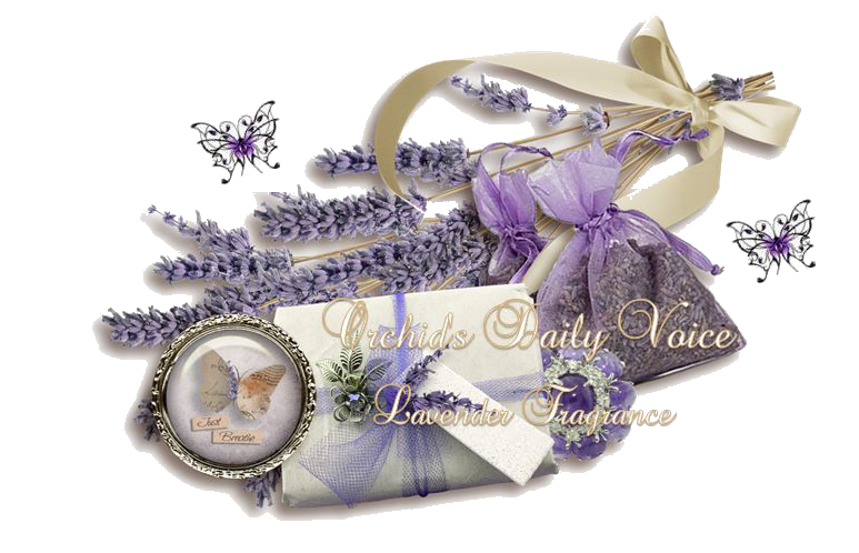 Lavender fragrance