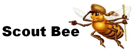 Scout Bee
