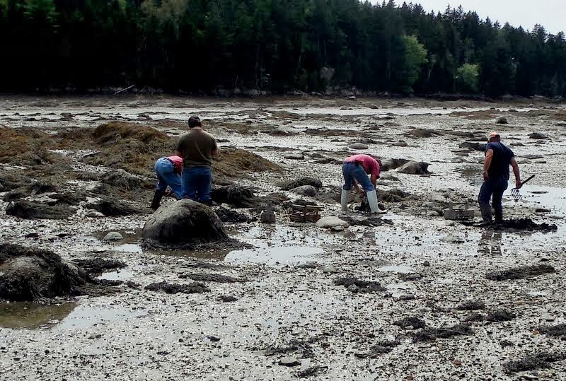 Have Retirement. Will Travel. Clamming It's The Maine Thing
