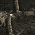 Warfare 1944 Warfare 1944