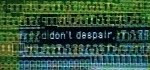 Despair? Despair?