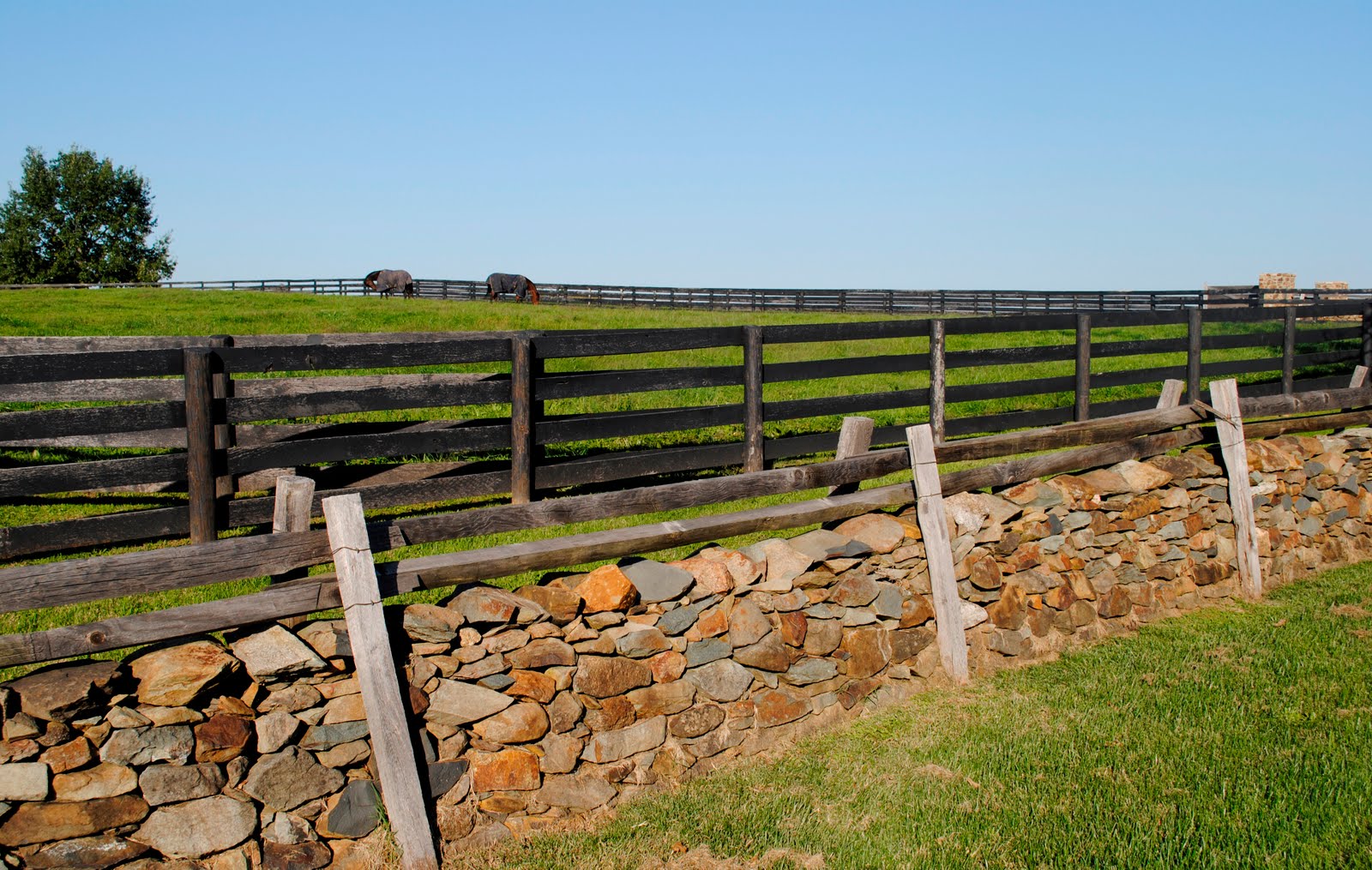 Shenandoah River, Blue Riidge Mountains and Northern Virginia Horse
