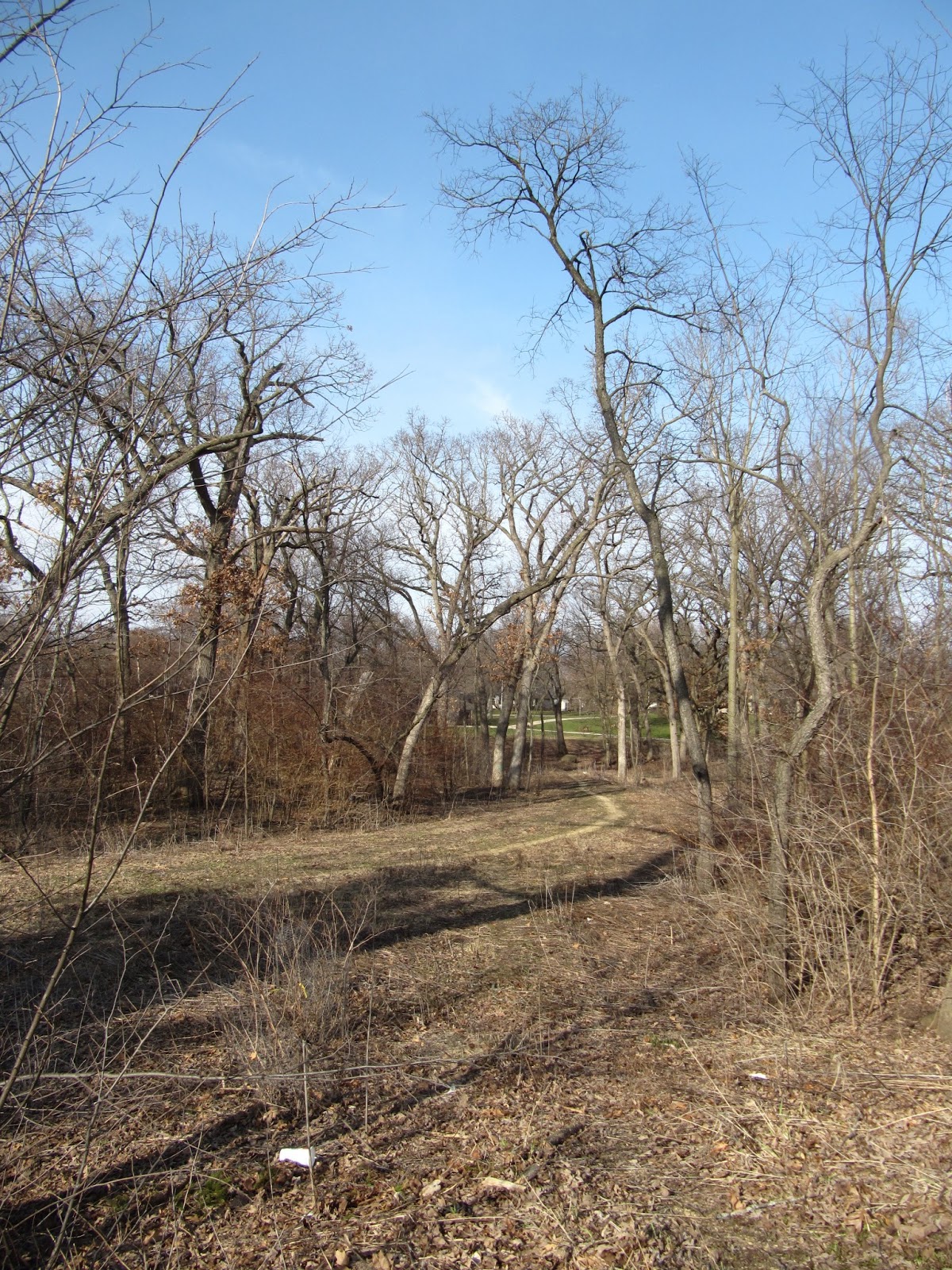 Retiring Guy Westmorland Park, Madison, Wisconsin