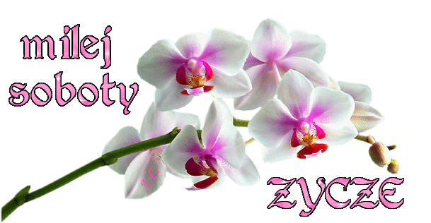 soboty%2Bmilej%2Bzycze121.gif