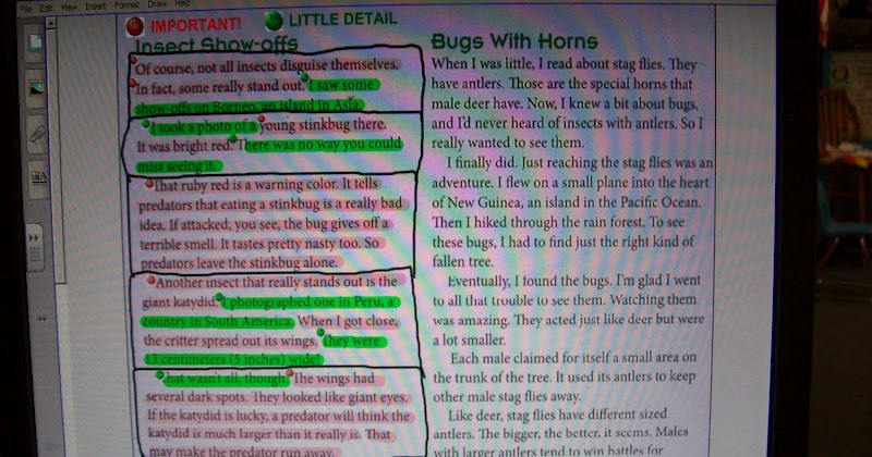 Life in 4B...: Main Ideas, Poetry, & Responding to Historical Fiction