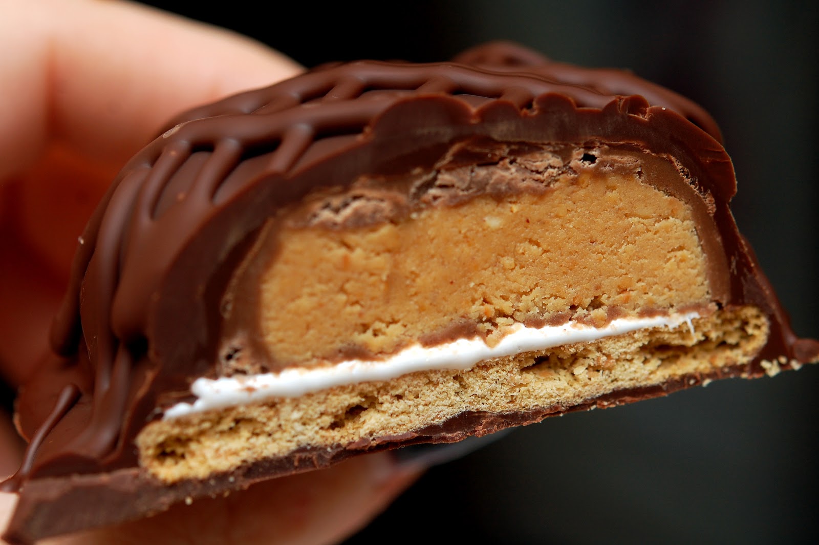 CHOCOLATE DIPPED GRAHAM CRACKERS STUFFED WITH MARSHMALLOW & REESE'S