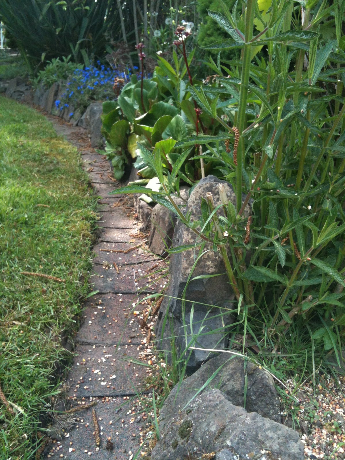 In The Garden with Claire 3tab shingles in the garden!!!