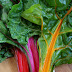 Stir-Fried Rainbow Chard