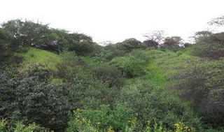 Nosque Huacrupe - La Calera