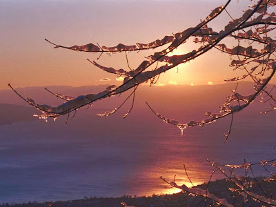 http://4.bp.blogspot.com/-twOA6Ahf6sc/UuS0sEtTiaI/AAAAAAAAK7I/W2CUMkEtRgU/s1600/1512610_674333022611740_1969114879_n.jpg