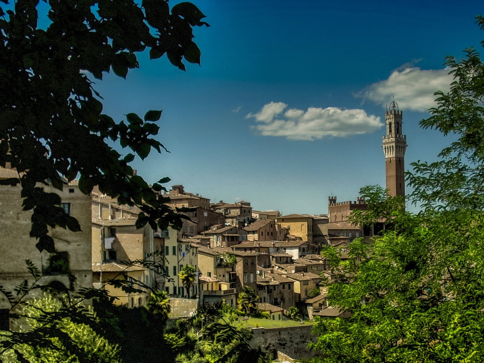 Siena