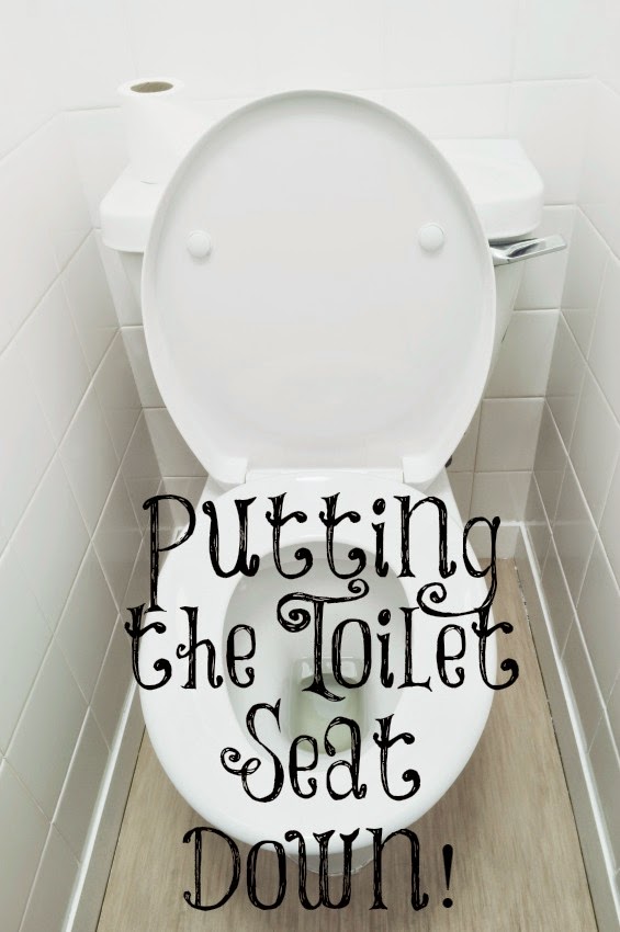 Always Learning Putting The Toilet Lid Down