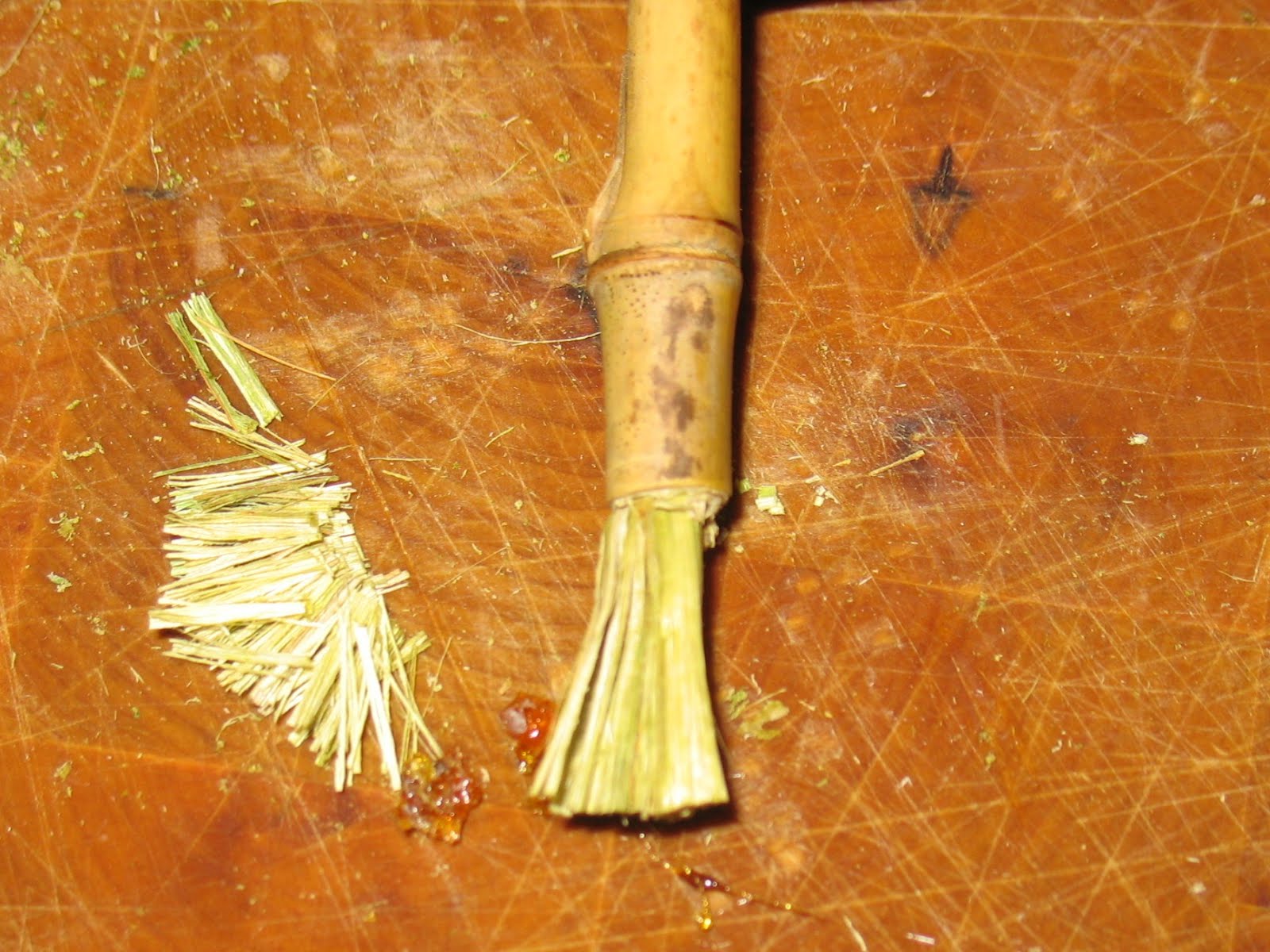 Sensible Survival Make a Primitive Brush from Yucca and River Cane