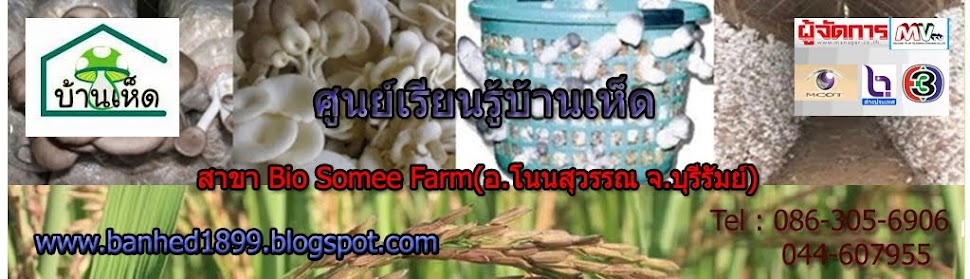 banhed1899/บ้านเห็ดสาขาไบโอโสมีฟาร์ม อ.โนนสุวรรณ/บ้านเห็ดบุรีรัมย์/Banhedbiosomee/[hkogsHfw[FvFl