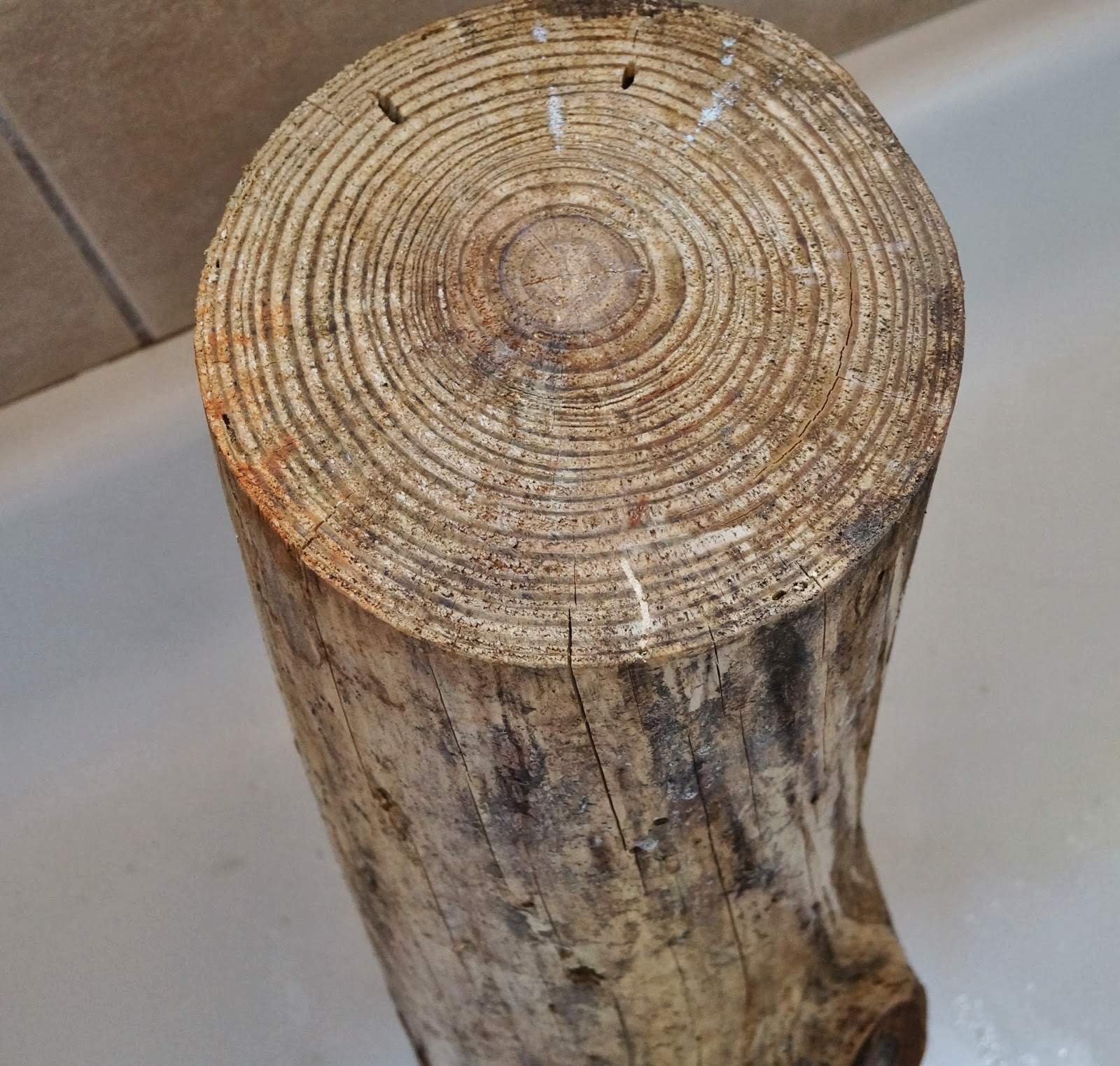 Don't Disturb This Groove Bleached TreeStump Tables