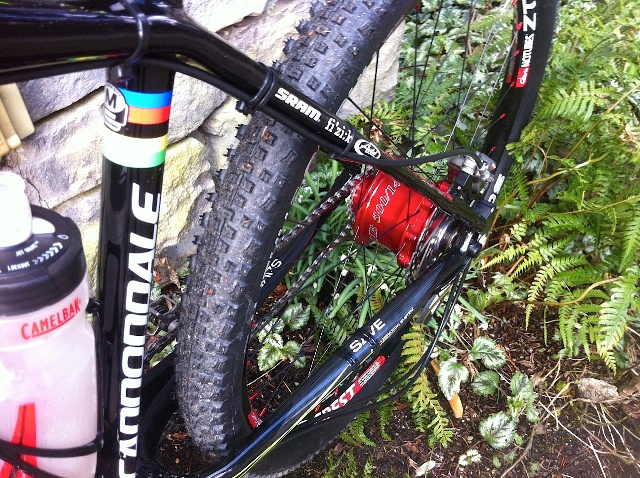 cannondale rohloff