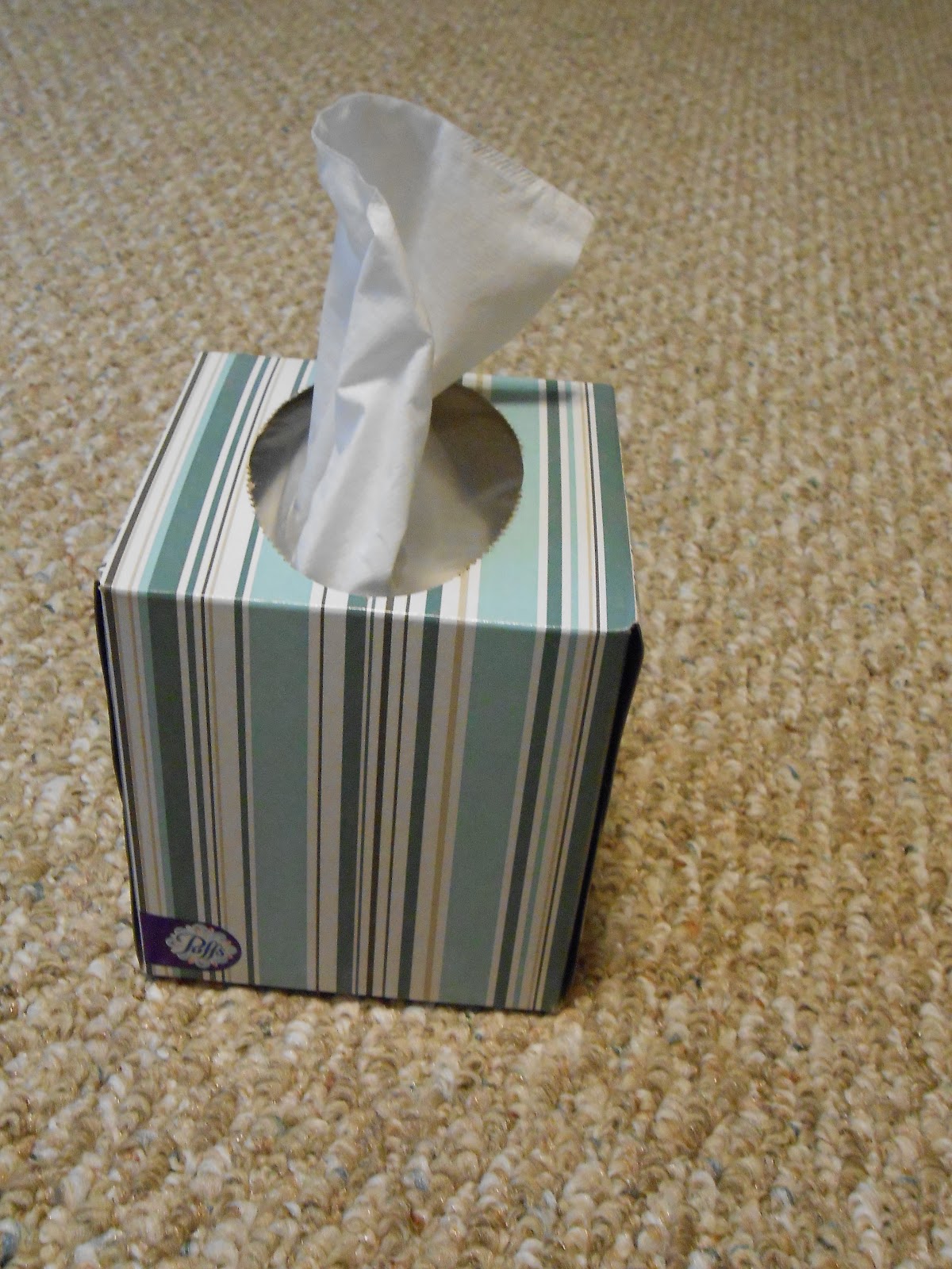 Carrie's Speech Corner Tissue Box Therapy!