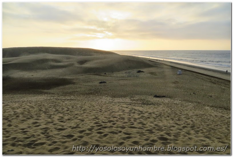 vista de la playa y las dunas de Maspalomas vista de la playa y las dunas de Maspalomas
