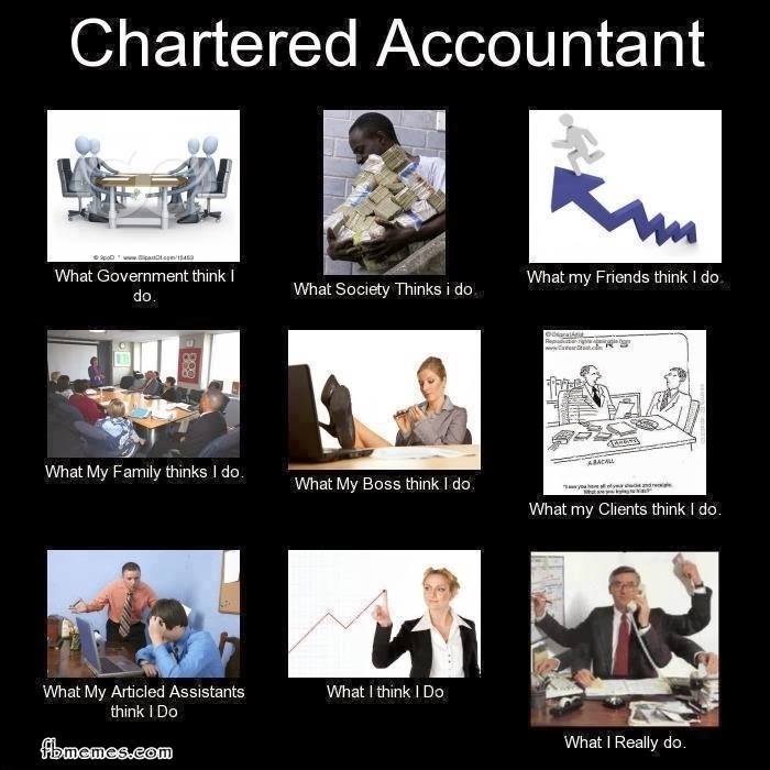 What a Chartered Accountant Really do