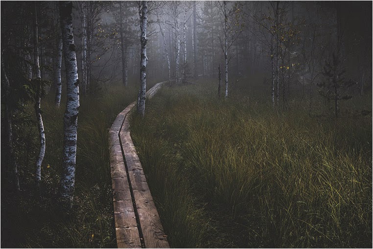 emerging photographers, Best Photo of the Day in Emphoka by Jyrki Salmi, https://flic.kr/p/qb3j8k emerging photographers, Best Photo of the Day in Emphoka by Jyrki Salmi, https://flic.kr/p/qb3j8k