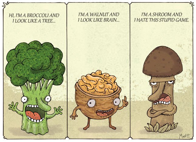 Mushroom+is+like+a+penis,+game+with+broccoli+&+walnut.jpg