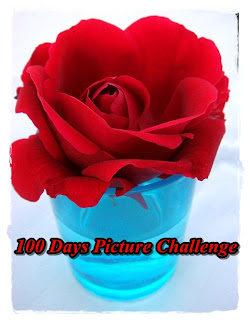 100 Days Picture Challenge