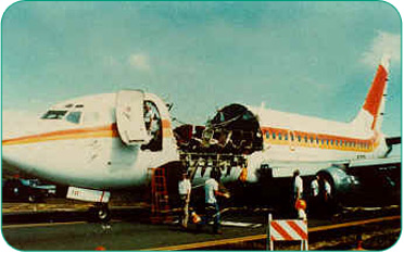 Aloha+Flight+243+Movie Accidents and Incidents Aloha Airlines Flight 243 quot Cabrio Airlines