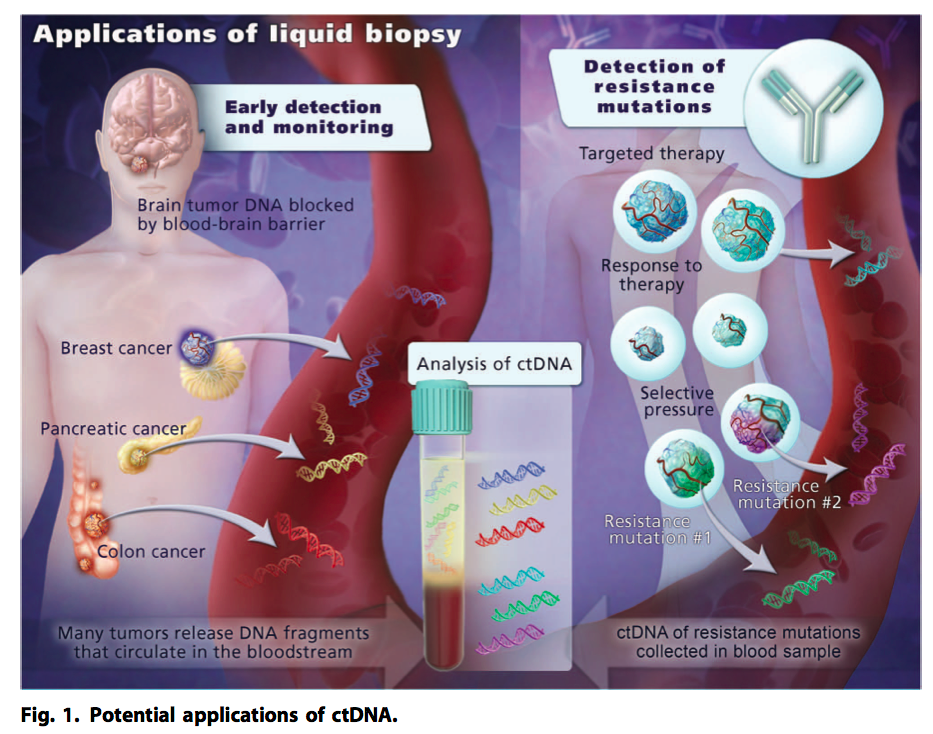 Revealing the true utility of ctDNA Enseqlopedia