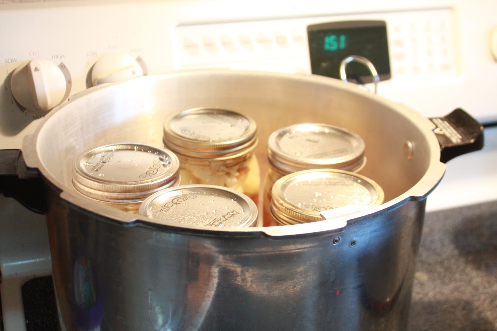 Raw Pack Beef Stew (Pressure Canning) HeartWise Essential Solutions