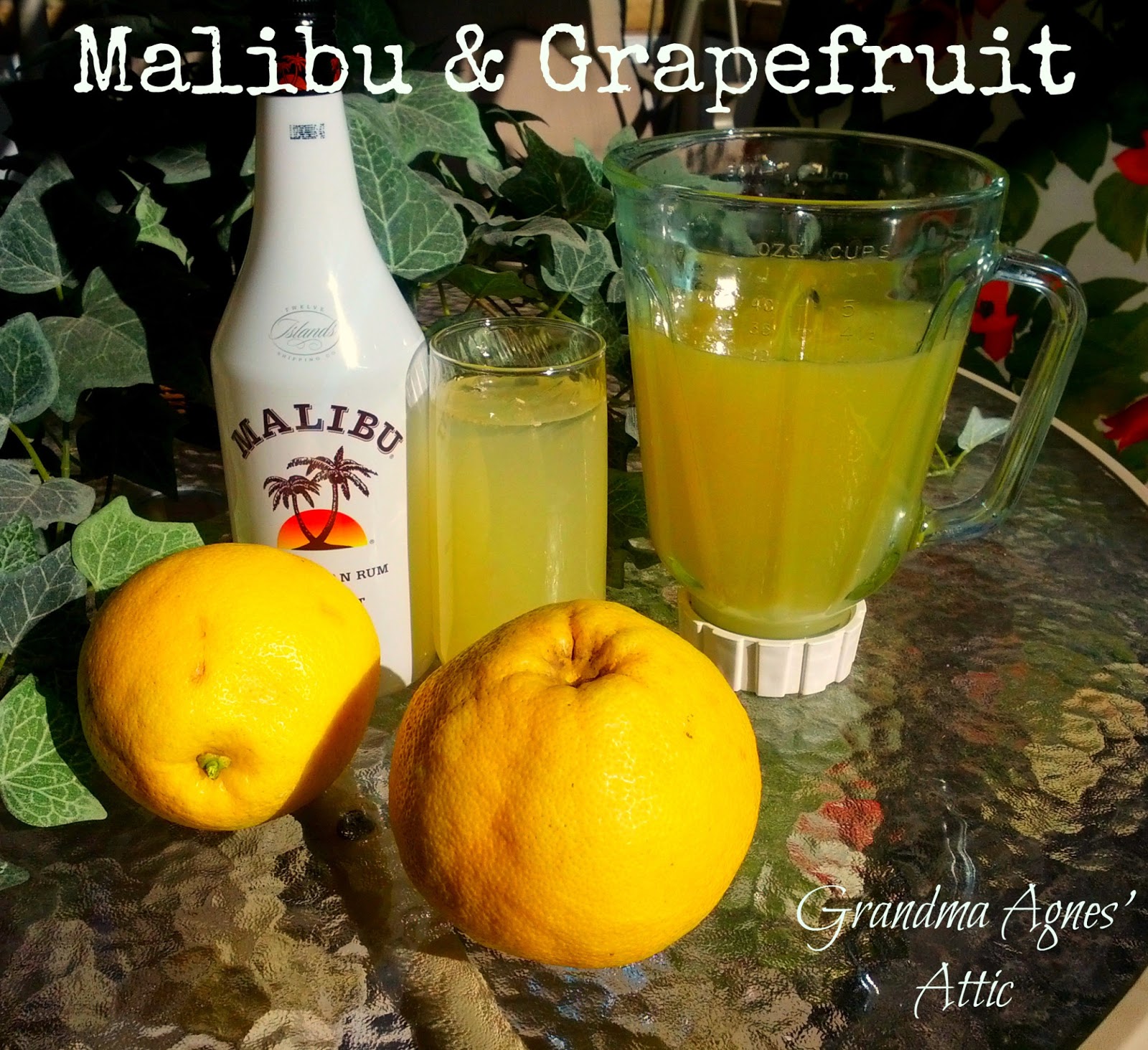 The Rotter Homestead Easy Malibu Rum and Grapefruit Juice Vacation Drink Recipe