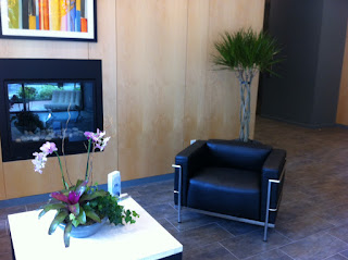 orchids; bromeliads;open weave office plants; cambridge MA;