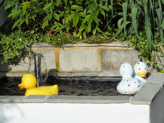 Rubber Ducks on the pond