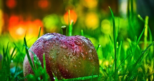 Detox Your Body Naturally From Drugs Detox Your Body Naturally From Drugs
