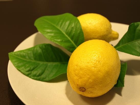 Lemon Fat 112