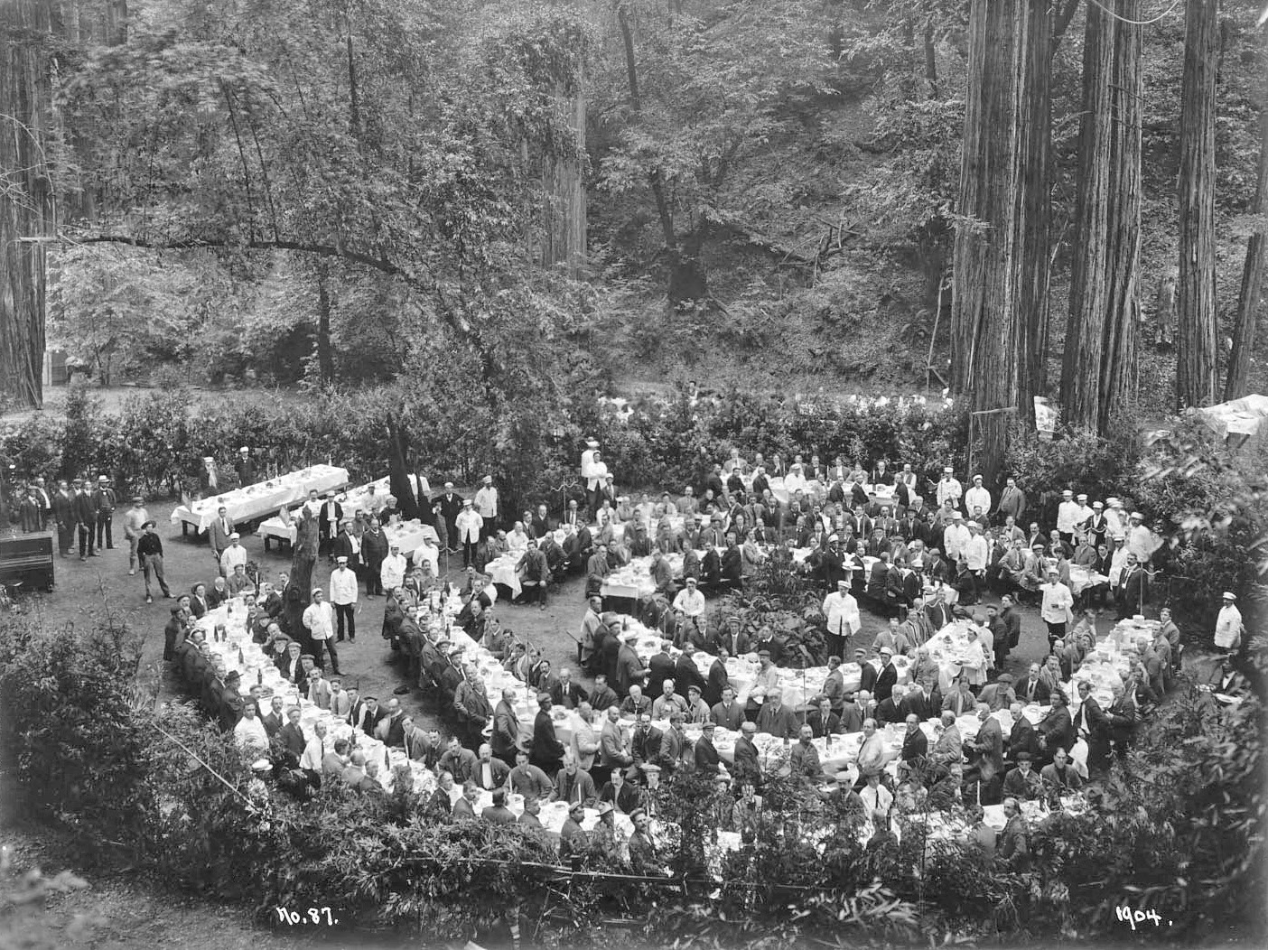 Bohemian Grove Goes On, but Days of Protest Fade - The New 