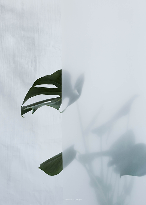 Botanic postcard | Kristina Dam Studio