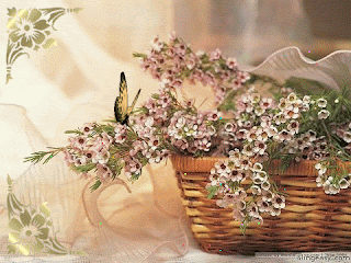 877149_Flowers_and_butterfly.gif