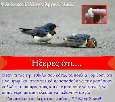 ΣΥΓΚΛΟΝΙΣΤΙΚΗ ΦΩΤΟΓΡΑΦΙΑ: Μετά από αυτό θα ξαναπετάξεις τσίχλα στον δρόμο?