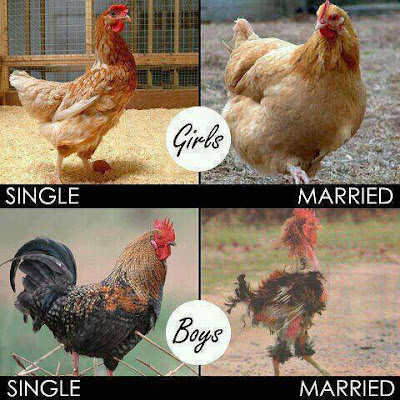 Single & Married