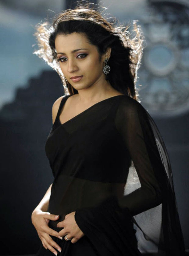 ActressHDWallpapers: Famous Trisha Black Saree 2012 Picture