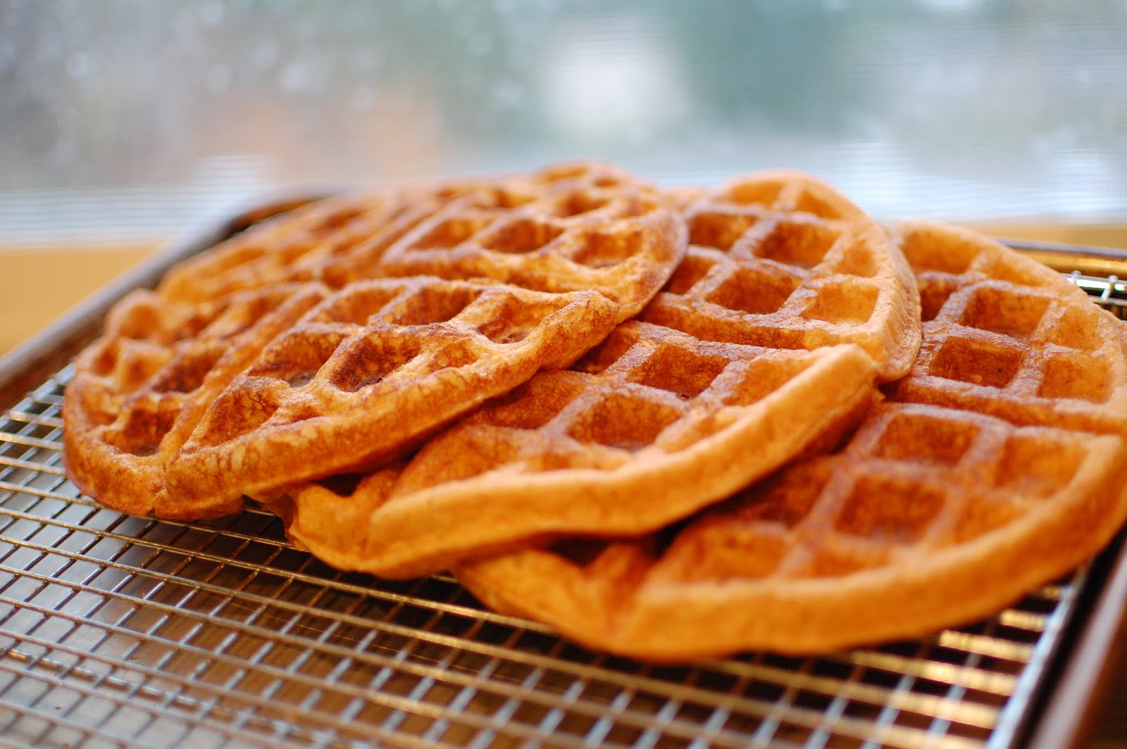 Kitchen Curiosities and more... Whole Wheat Waffles with Protein Powder