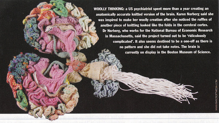 Woolly brains !!