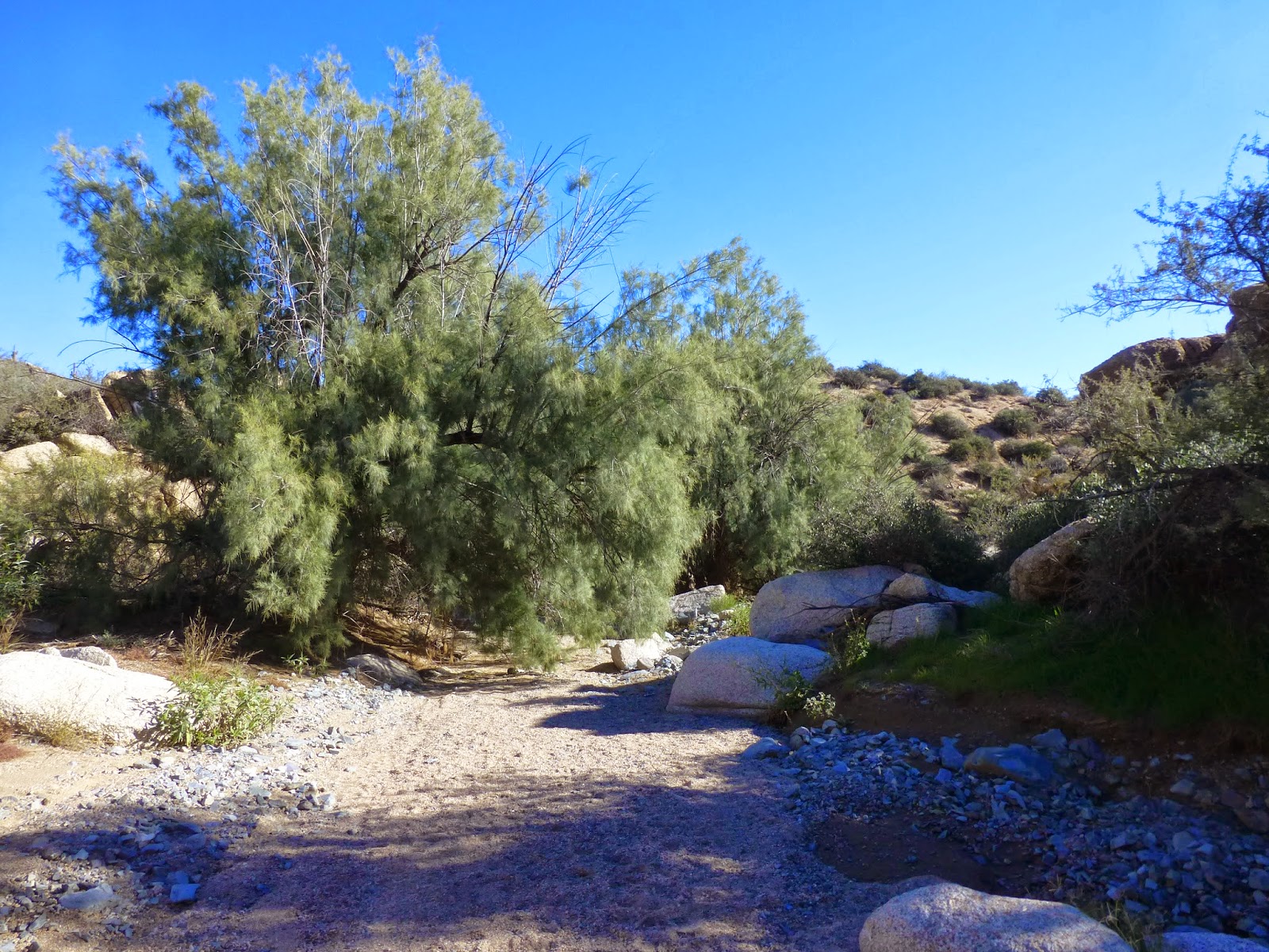 Hiking Camp Creek Falls, Tonto National Forest, Arizona